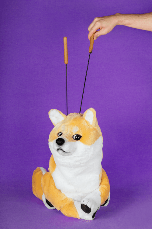 Doge