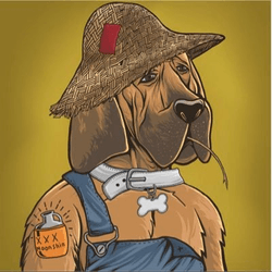 Hillbilly Hound Dogs Official collection image