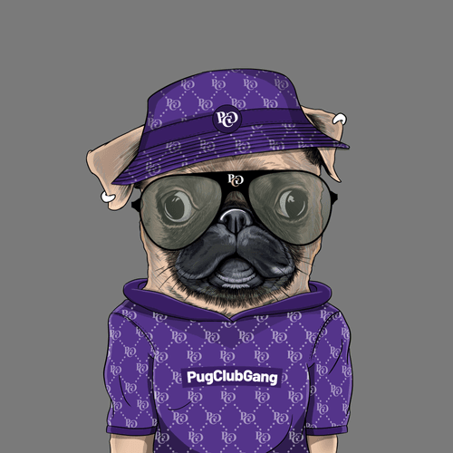 Pug #0115