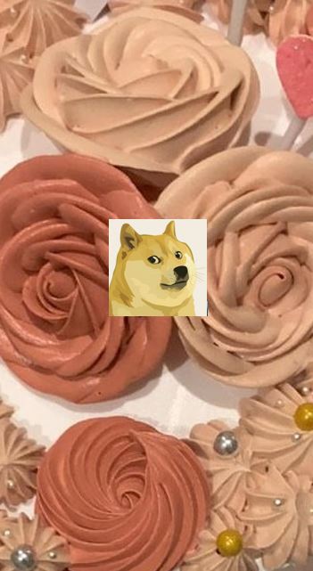 Dogecoin Anniversary December 6, 2013 collection image