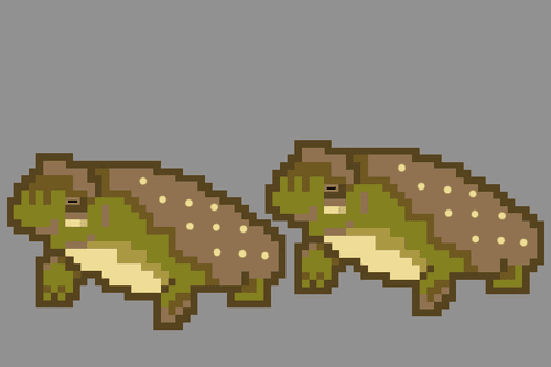 CRYPTO TOAD #005
