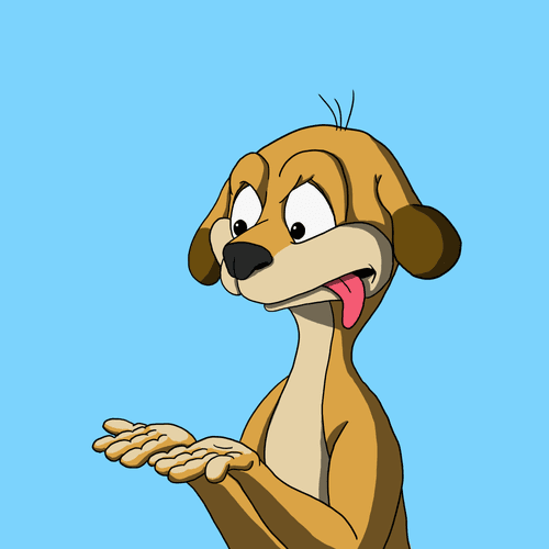 Fool meerkats1