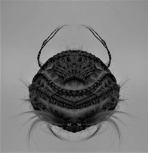 Thrixoplegma naturalis