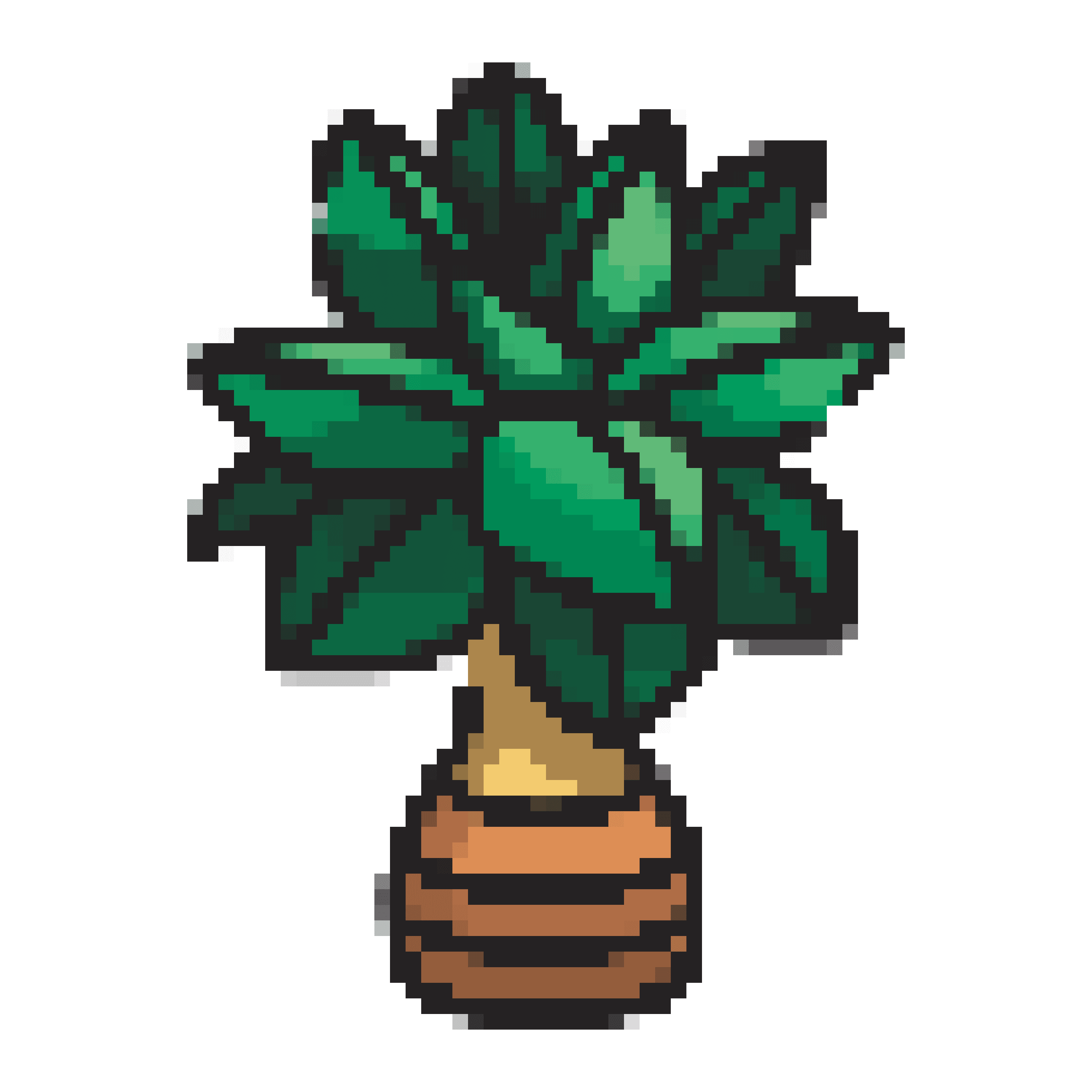 Jungle Tree Collection OpenSea