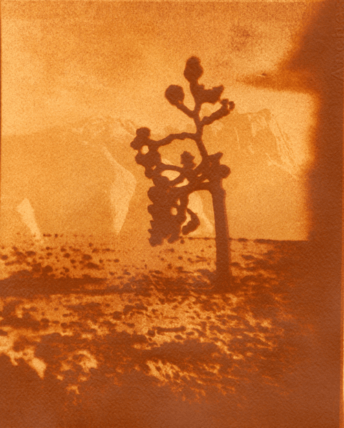 Apocalypse.v.1
