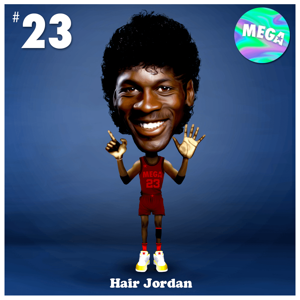 #23 - Hair Jordan