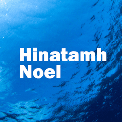Hinatamh Noel collection image