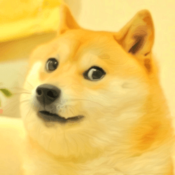 Collection of Doges collection image