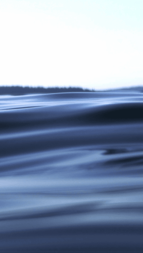 SHIFTY SEAS