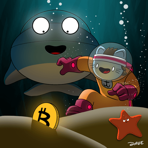 Treasure Hunt - BTC Edition