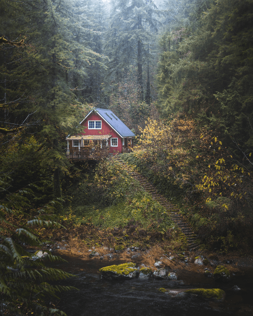 #8 - Cabin in the Woods