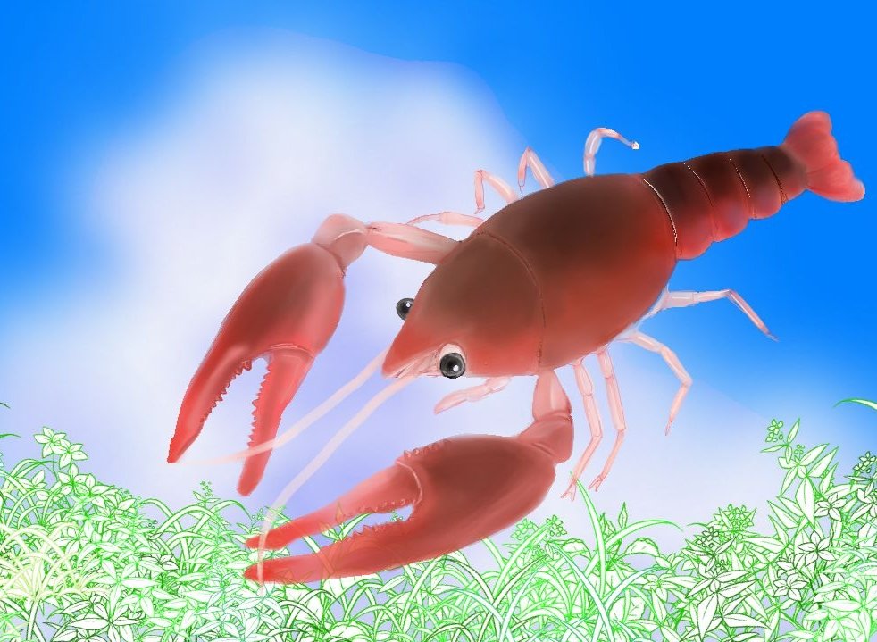 Landscape with crayfish
