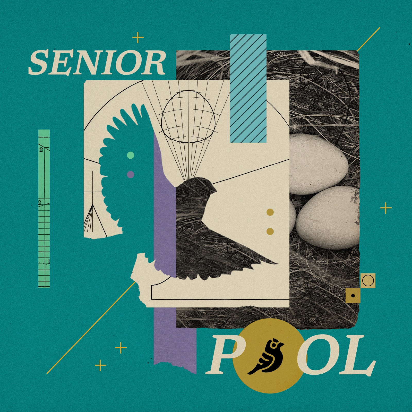 How the Senior Pool works