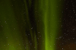Aurora-MS2022AB collection image