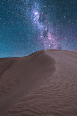 A Night On The Dunes collection image