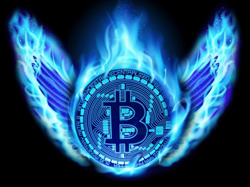 bitcoin angel