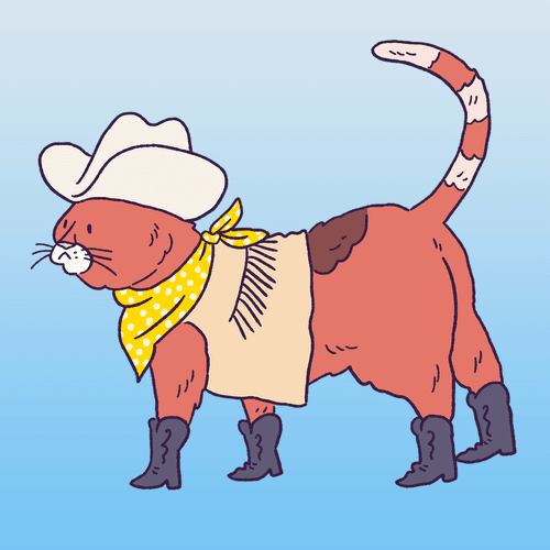 Cowboy Cat #1881