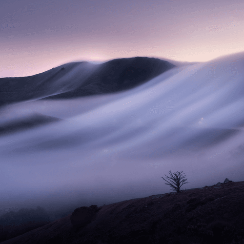 A Symphony of Fog #2