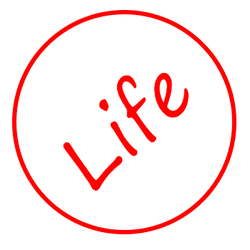 LIFE-001 collection image