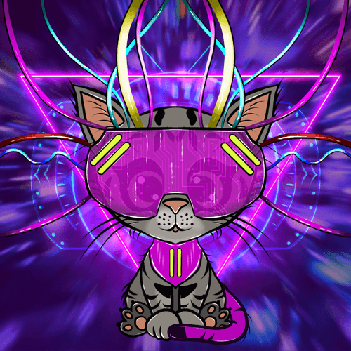 Cat Kiwi #14