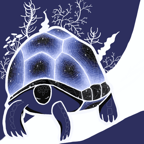 Night Turtle