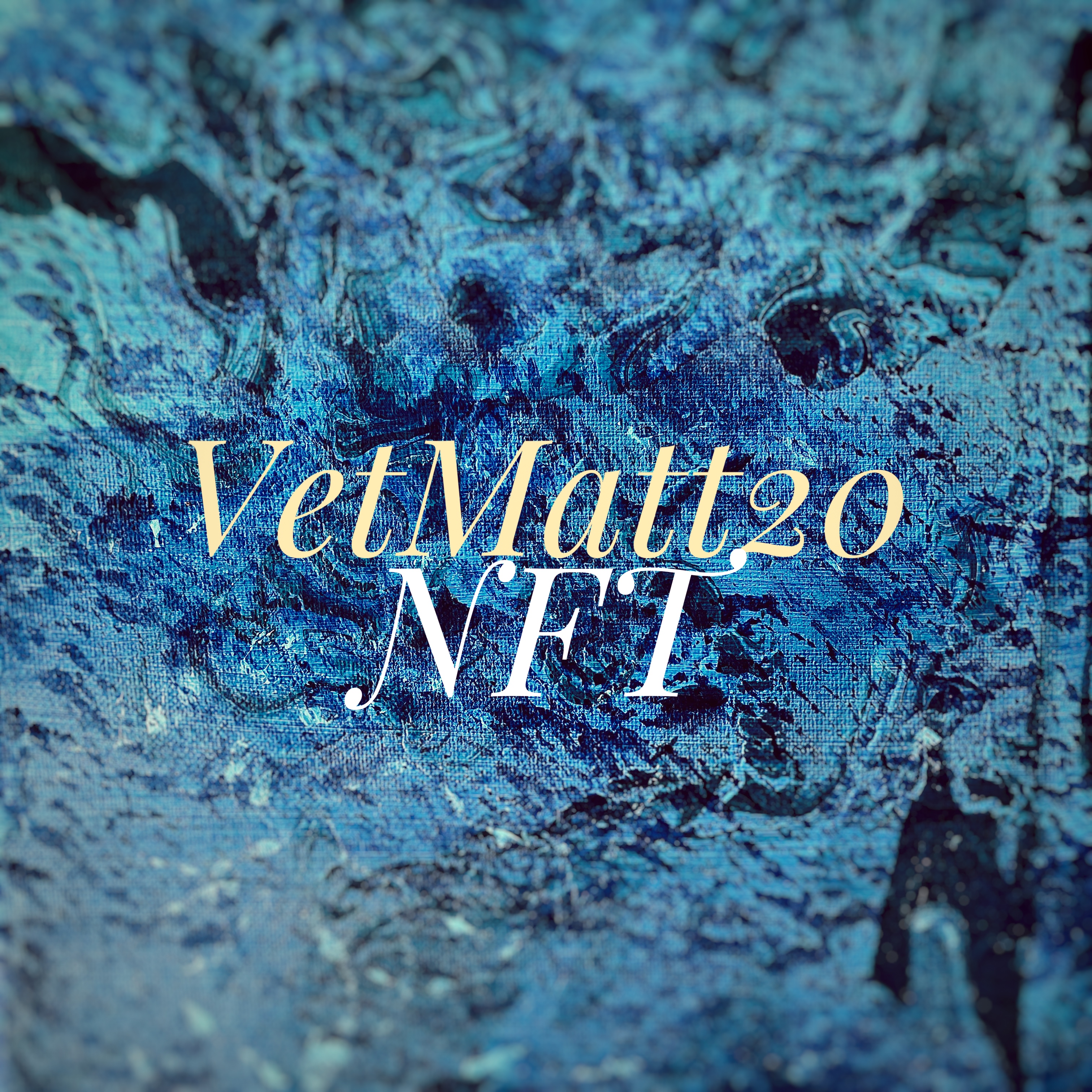 VetMatt20 banner