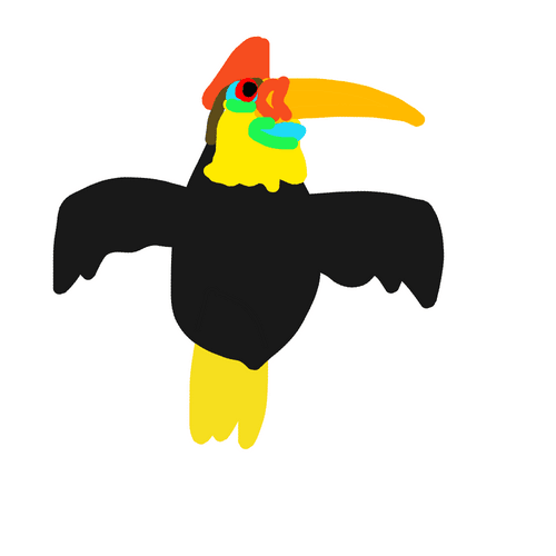 Hornbill