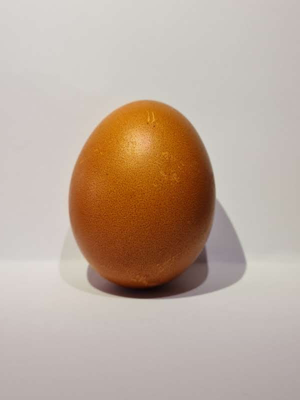 World's most expensive egg. Collection OpenSea