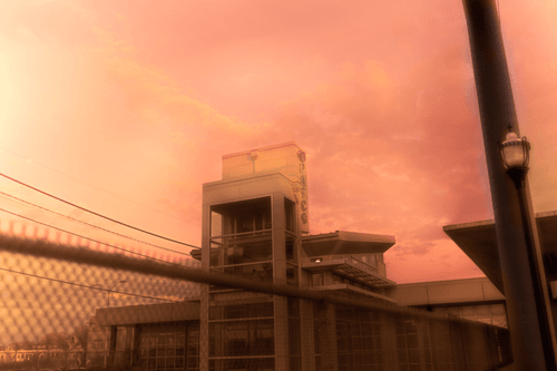 Through The Lens Of Zax