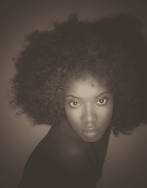Black Beauty II