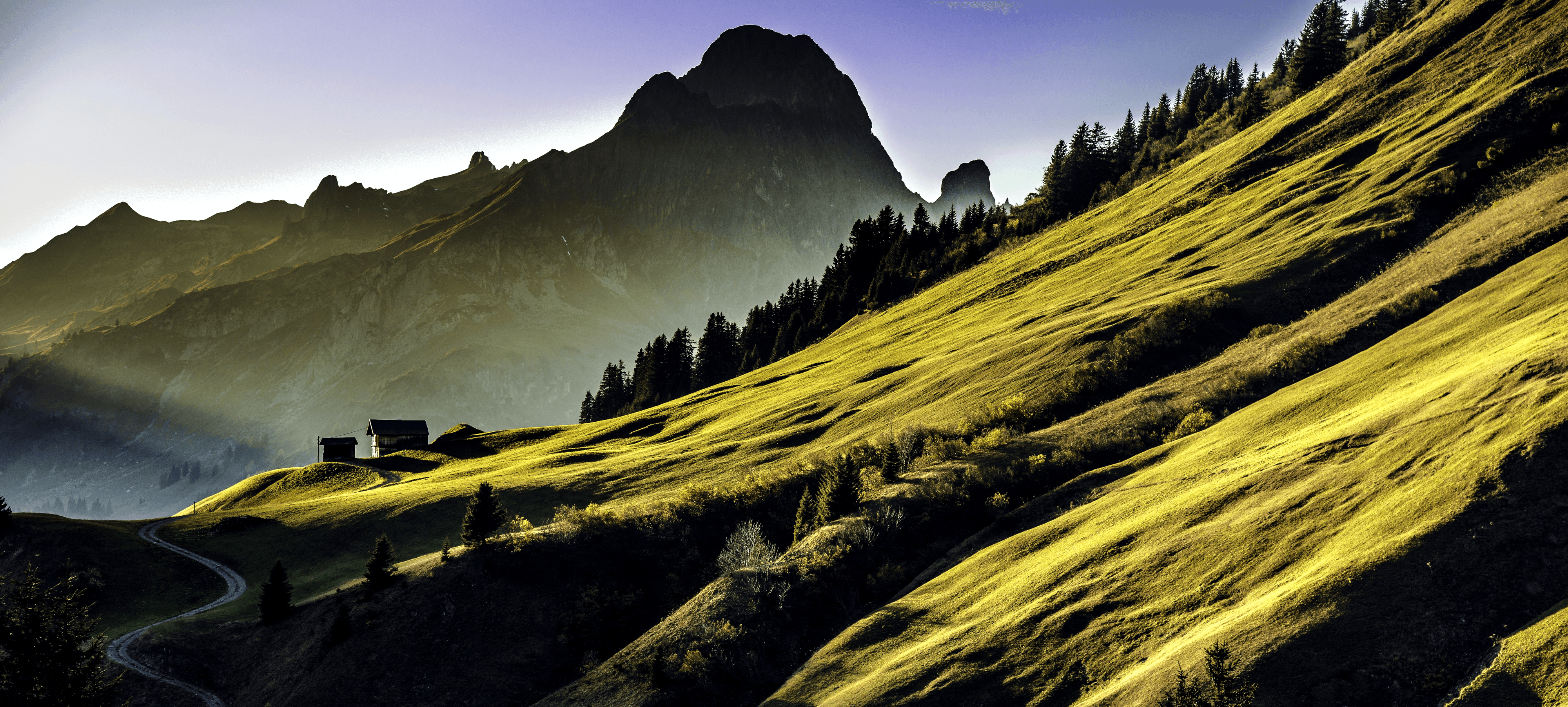 Austrian Alpine