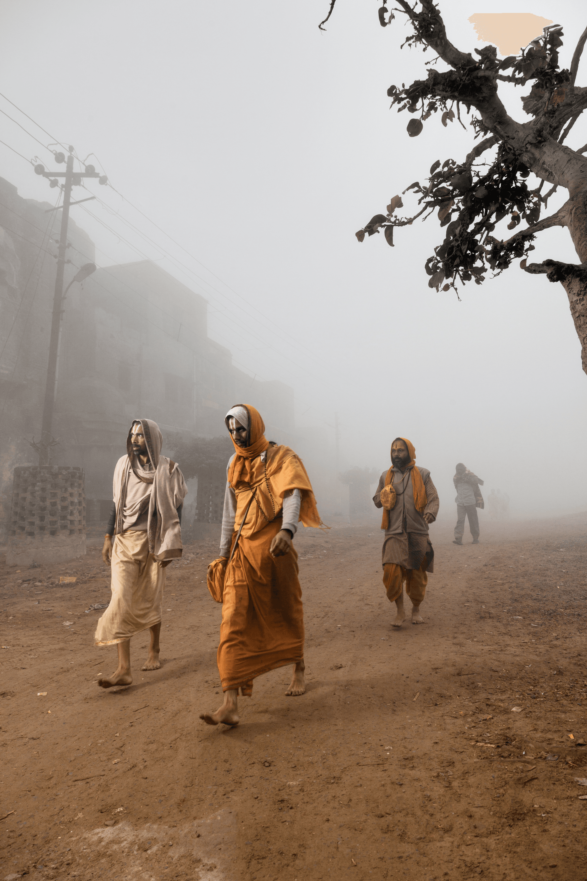 Pilgrims circumambulating the holy city of Vrindavana in the early morning; Uttar Pradesh #2/8