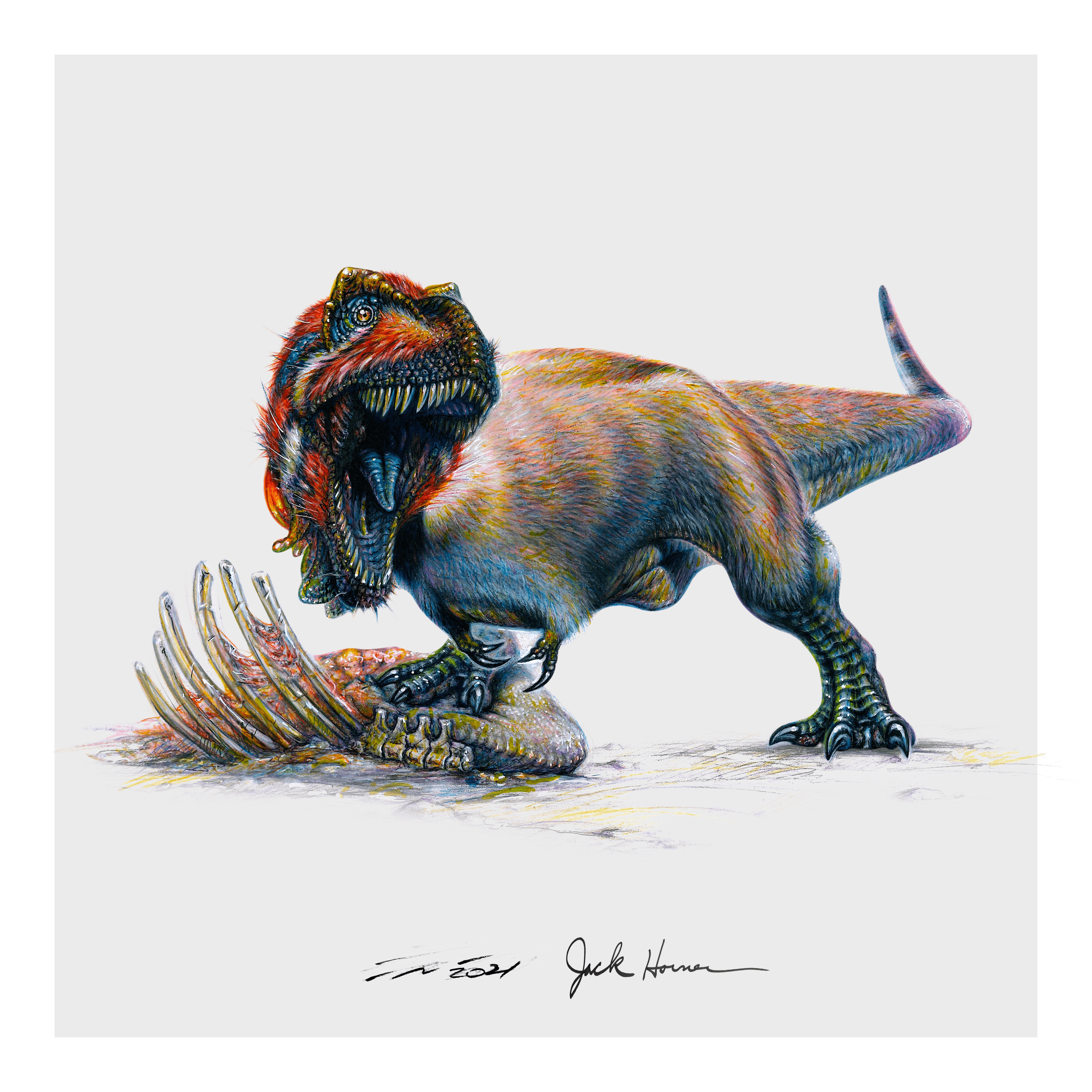 #49 Tyrannosaurus