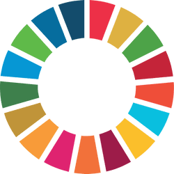Values flags agenda 2030 collection image