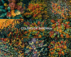 Colors of Sardinia collection image