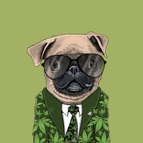 Pug #0071