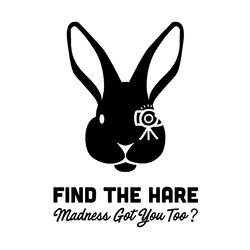 Find The Hare collection image