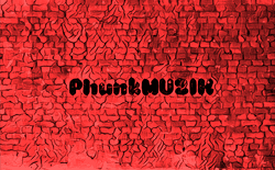 PhunkMUZIK collection image