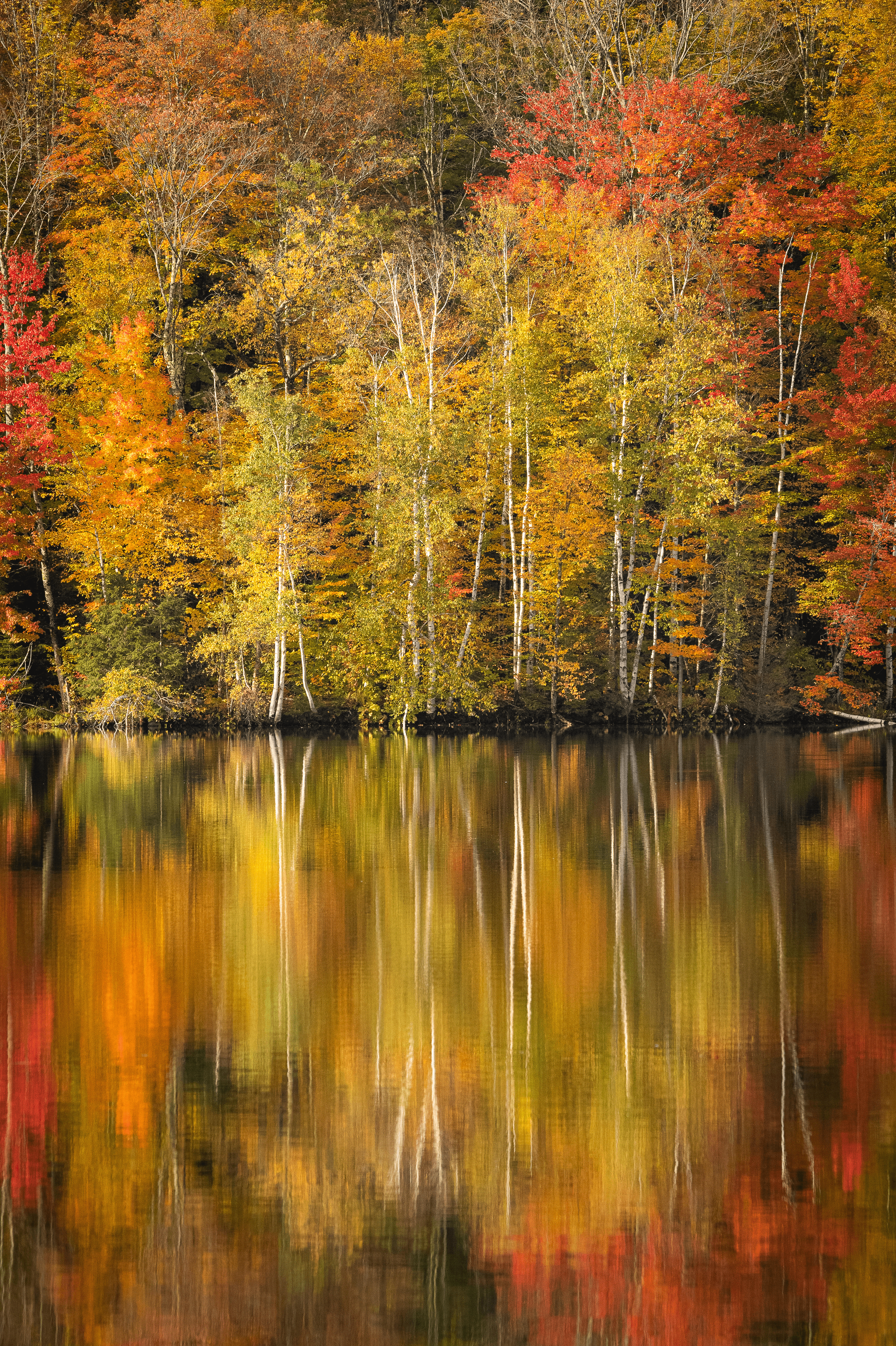 Mirror Lake before The Fall