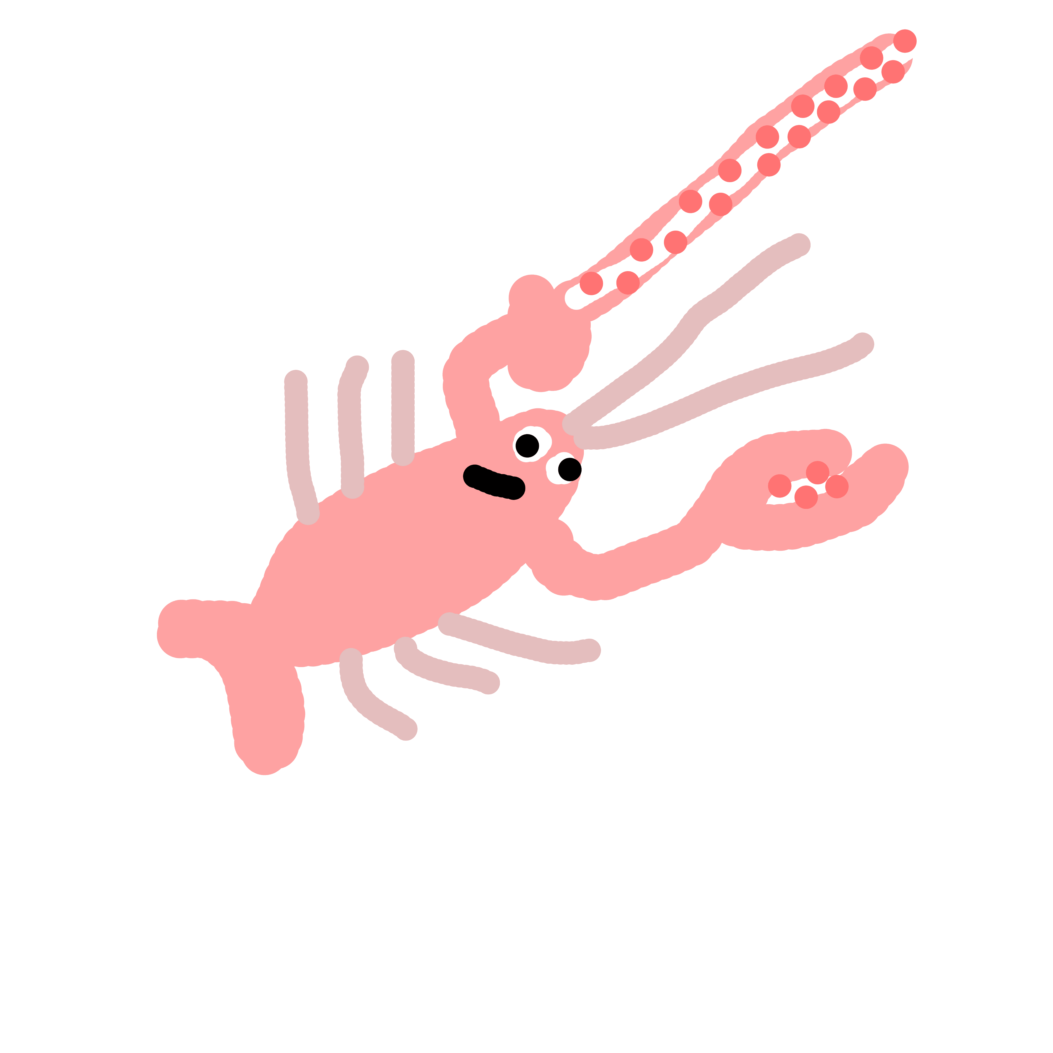 Terrible Claw Lobster