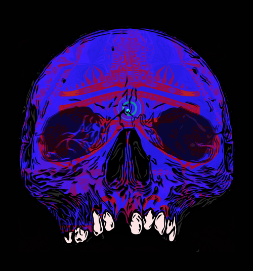 T3 Skull #1