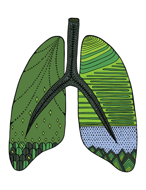 Lung #9