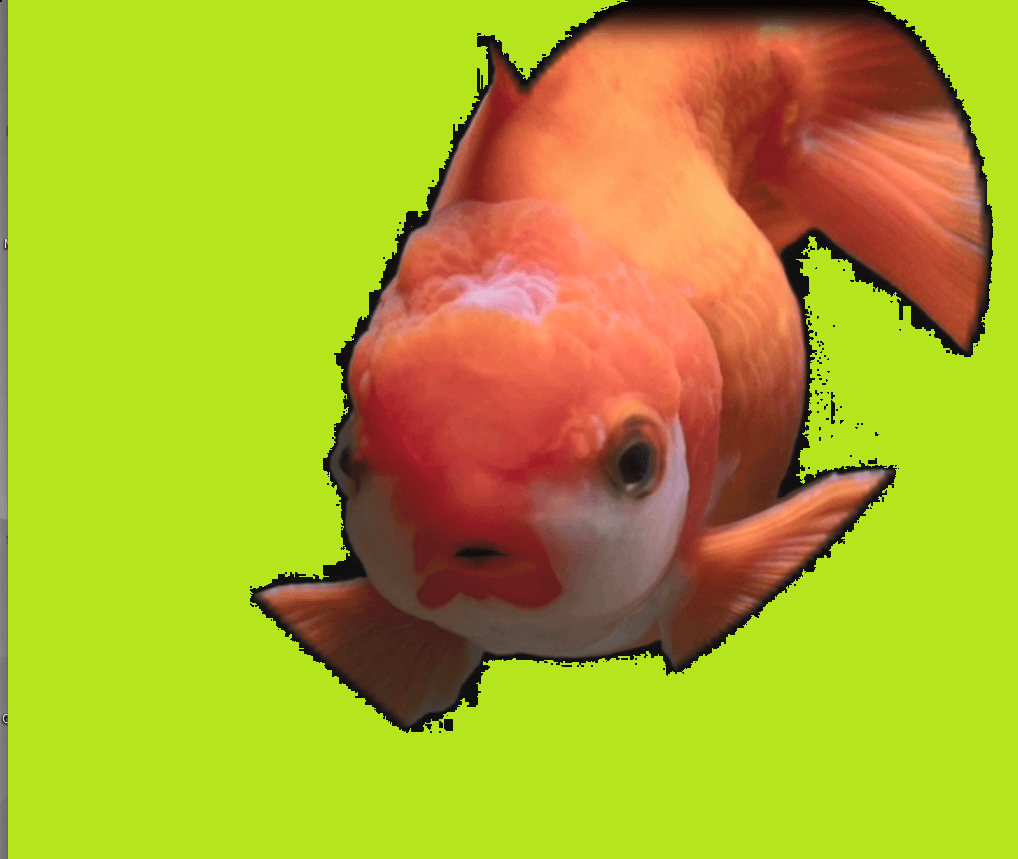 Orangefish Green light layer OrangeFish OpenSea