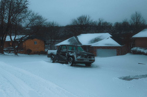 In the snow