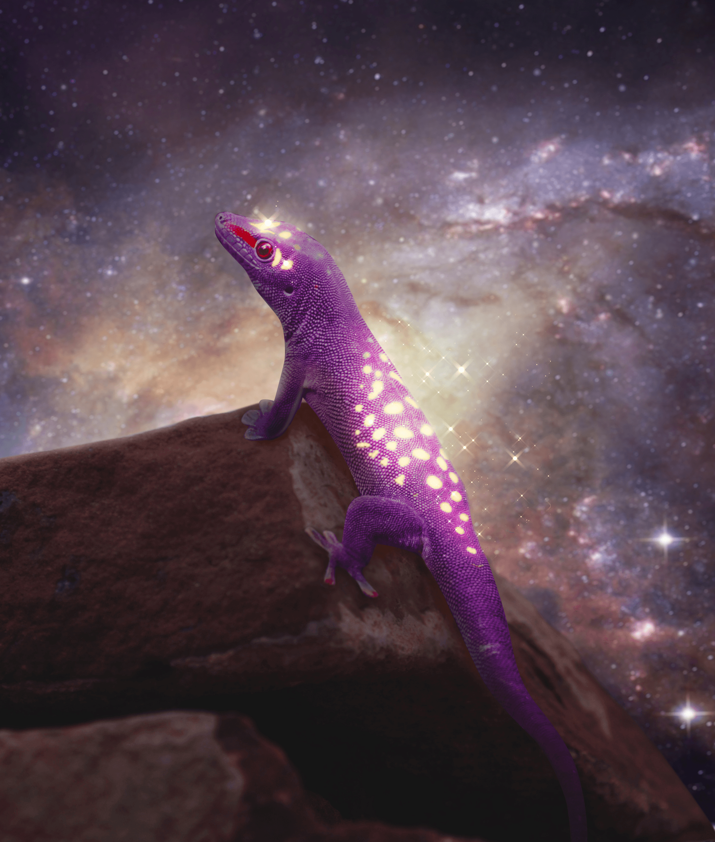 Ronald Ong x CoinGecko NFT Spotlight #4 - ''Intergalactic Gecko'' NFT