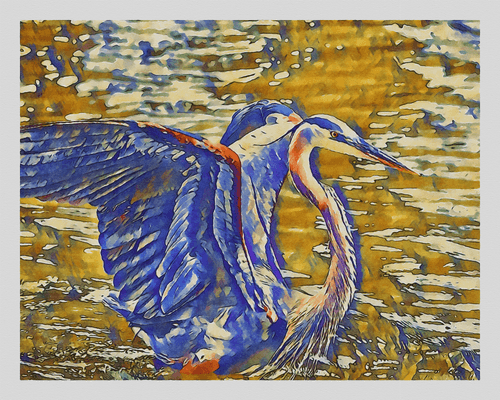 Watercolor - Great Blue Heron 13