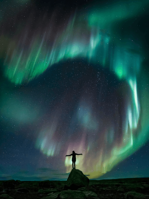 Elizabeth Gadd Editions