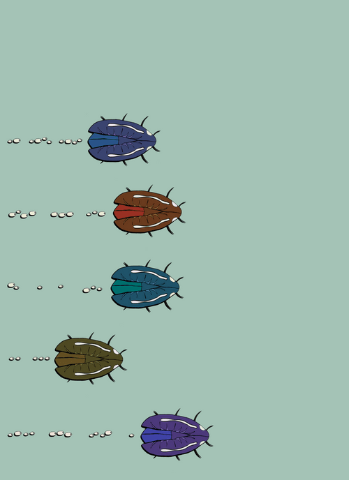 KrisK X Mubootes REMIX: "Beetles"