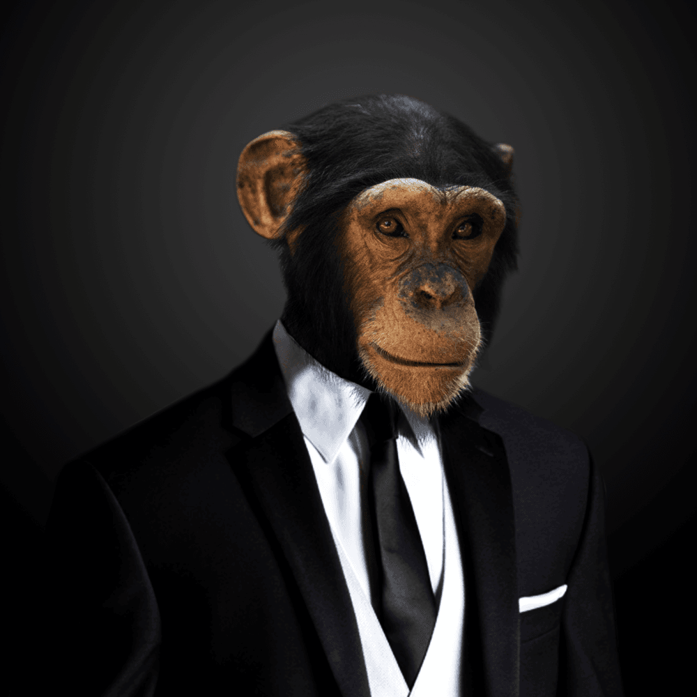 Monkey Mafia - in clothing | OpenSea
