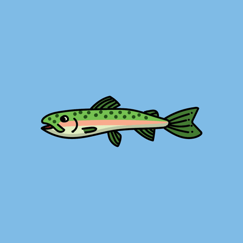 Fish #064